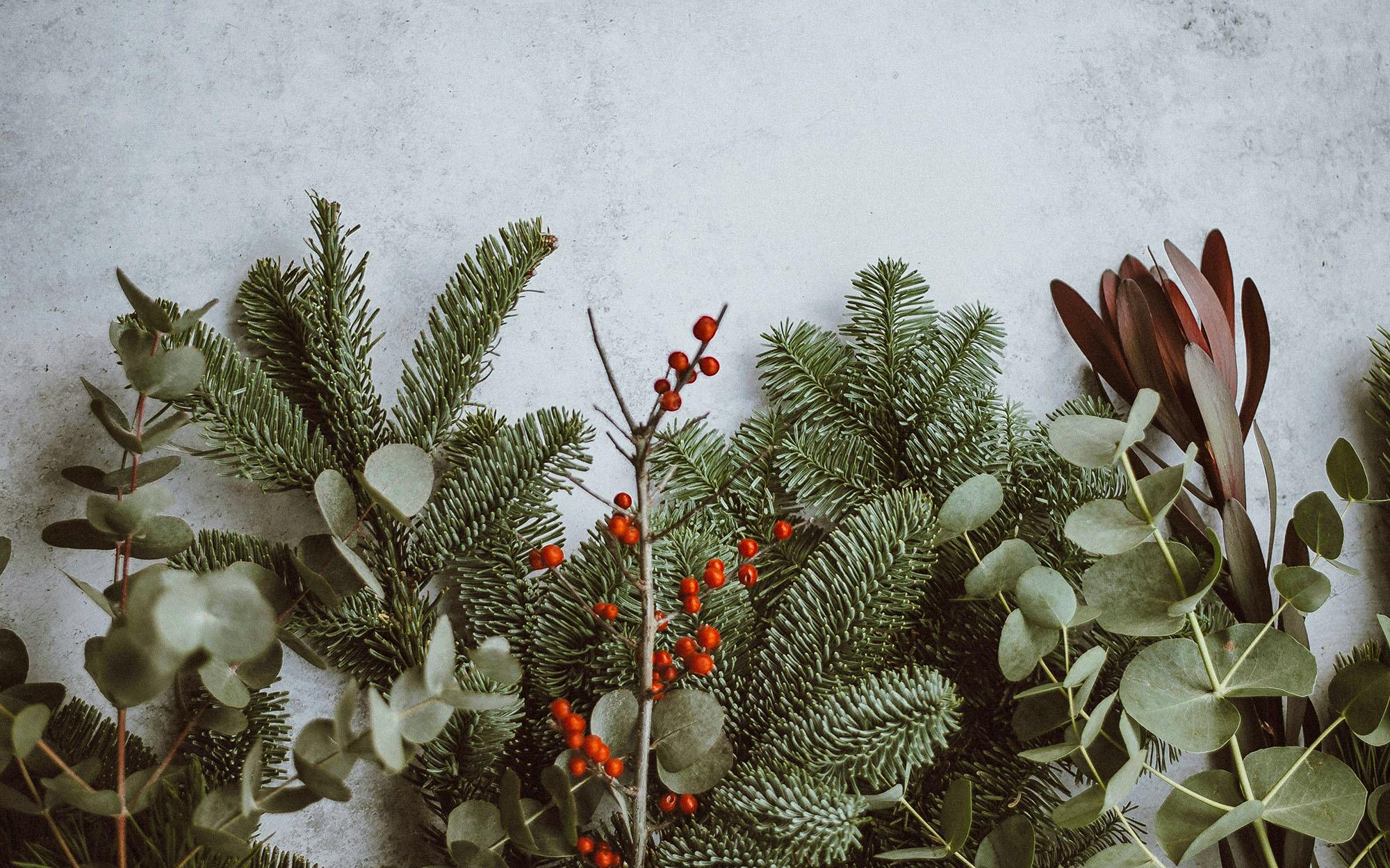 Xmas Garlands 25 Annie-spratt-QKo-op_gR9I-unsplash Copy