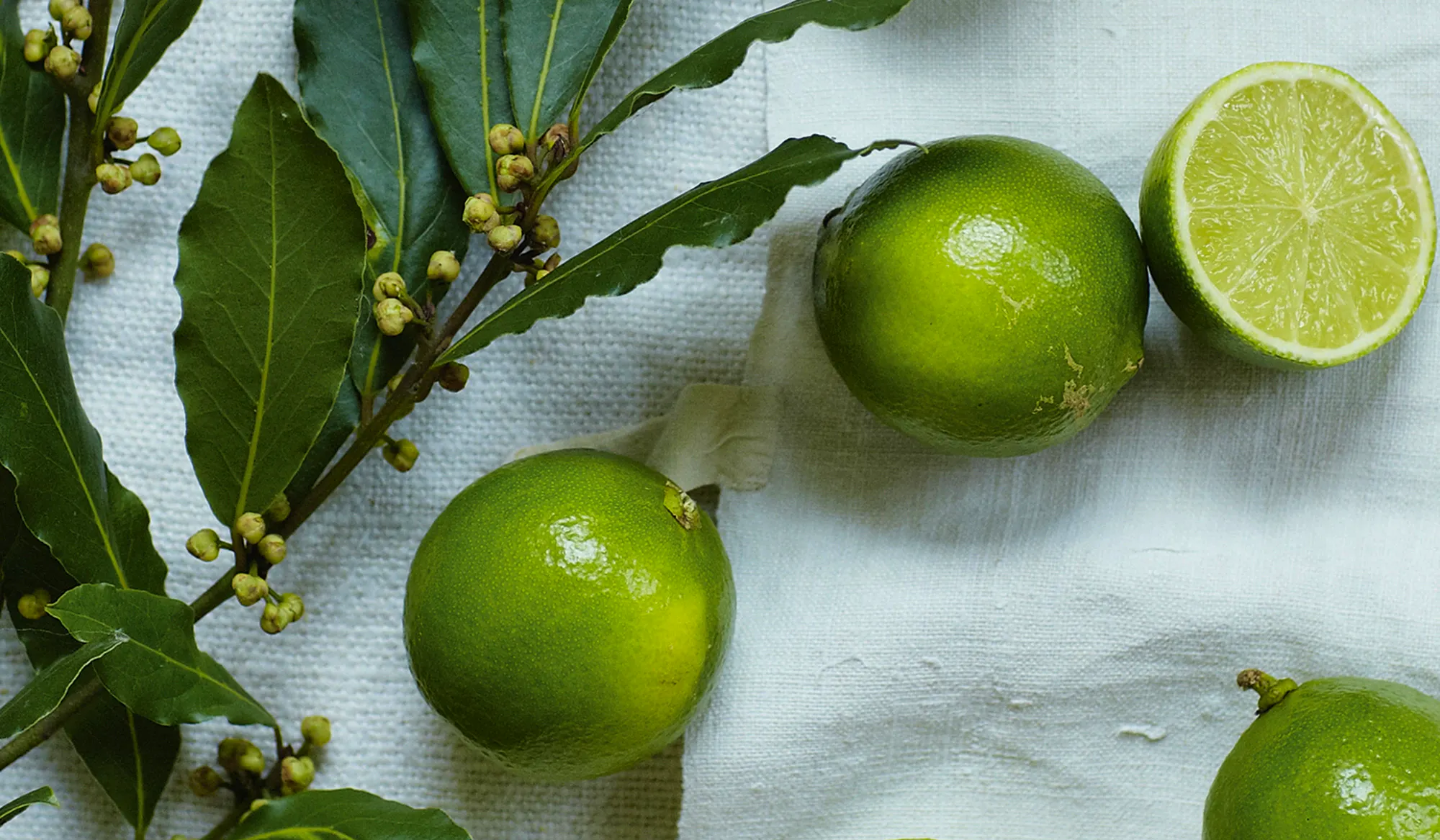 Win White Co Lime Bay Hamper