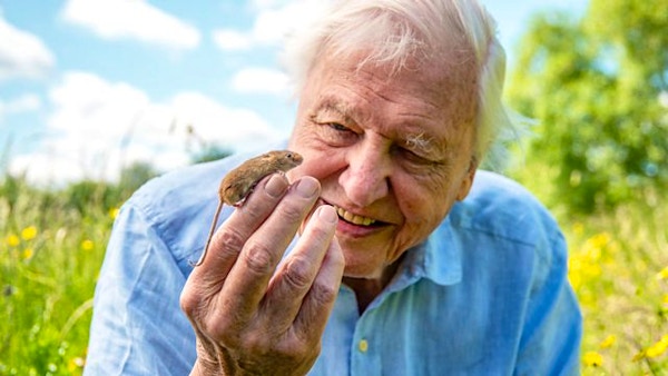 David Attenborough - BBC