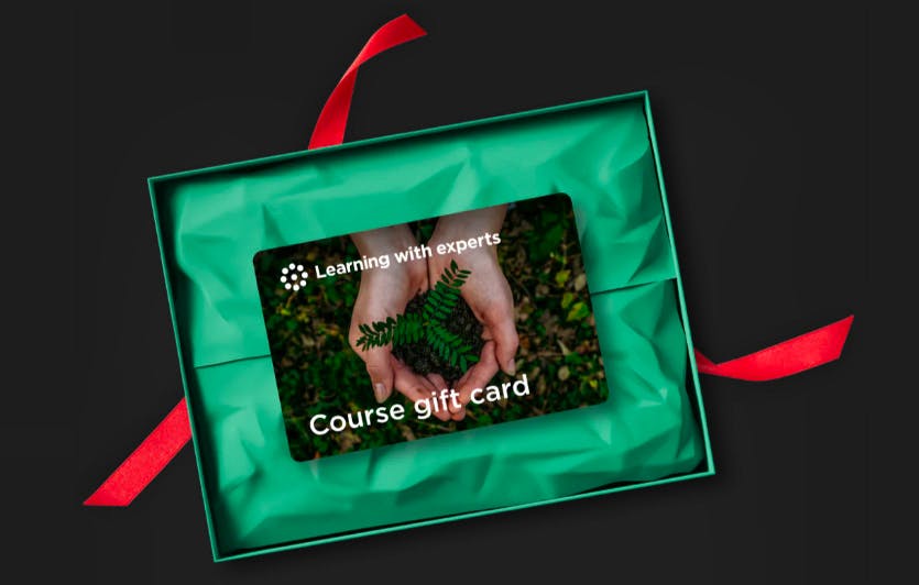 Learning Gifts Learning With Experts