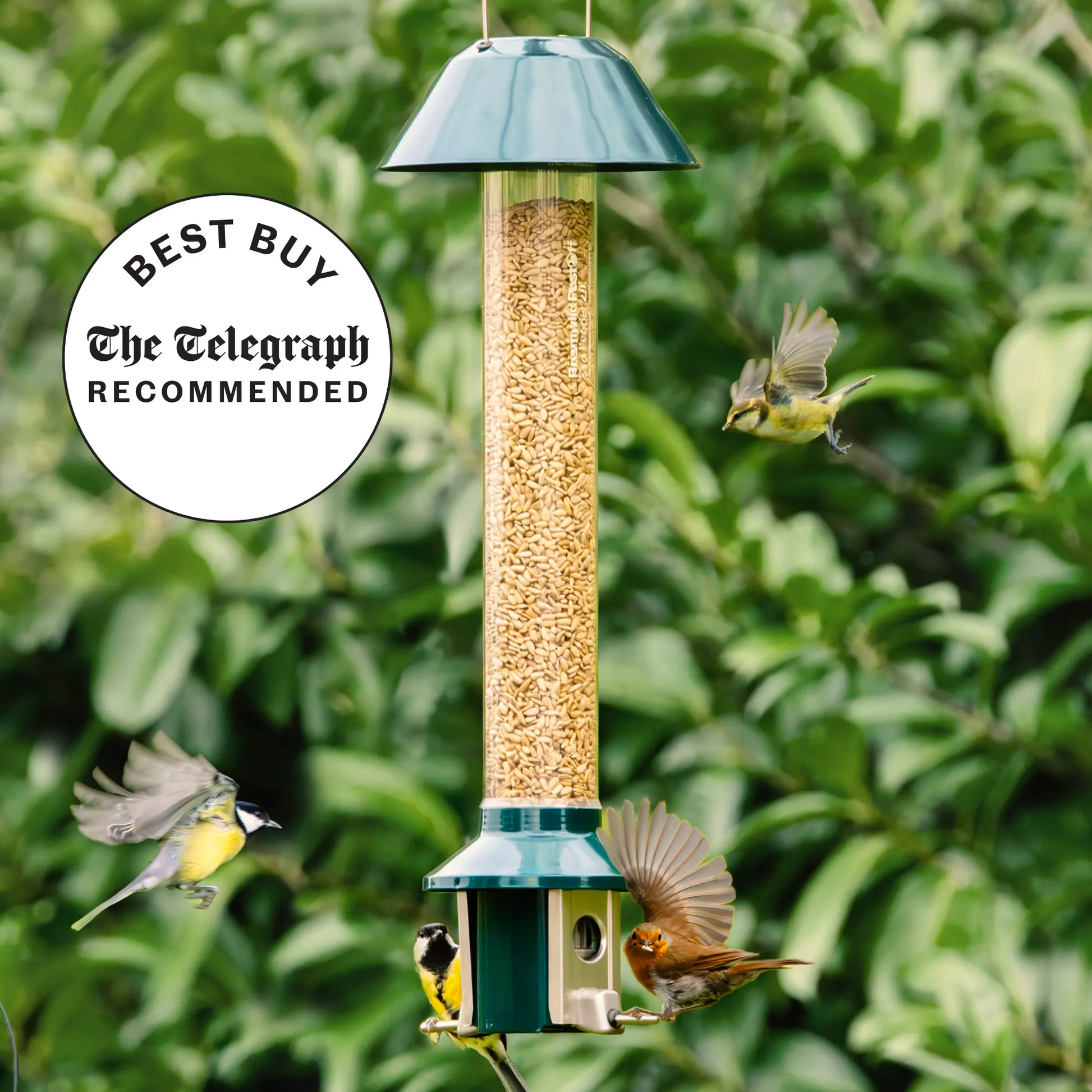 Birdwatch Roam Wild Pestoff Bird Feeder