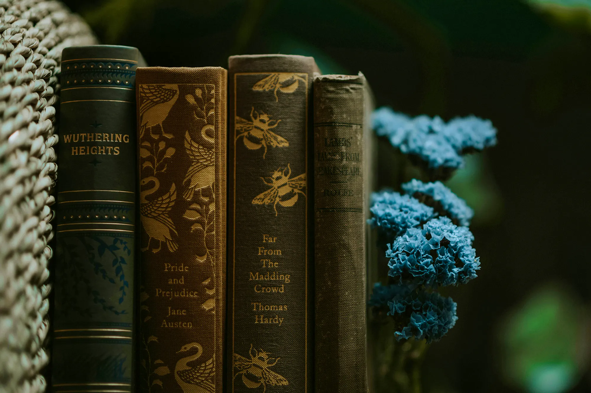 Literary Adaptations Zoe-qo6OCDyLR1U-unsplash Copy