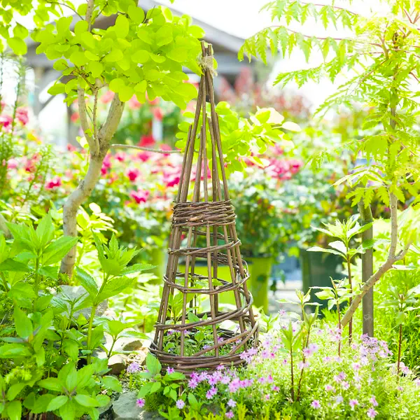 Craft Courses Weave A Willow Obelisk, £50