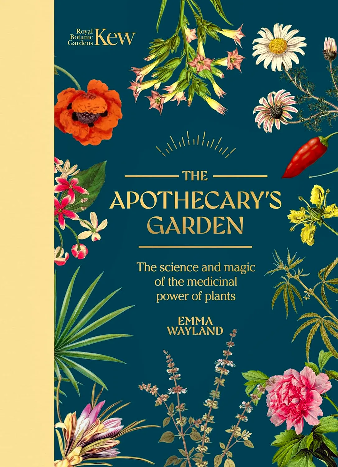 The Apothecary