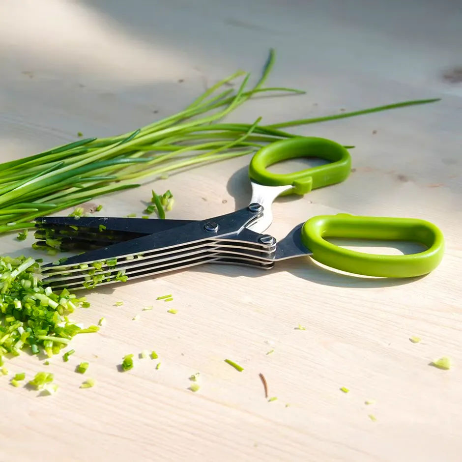 RHS Herb Scissors, £8.99