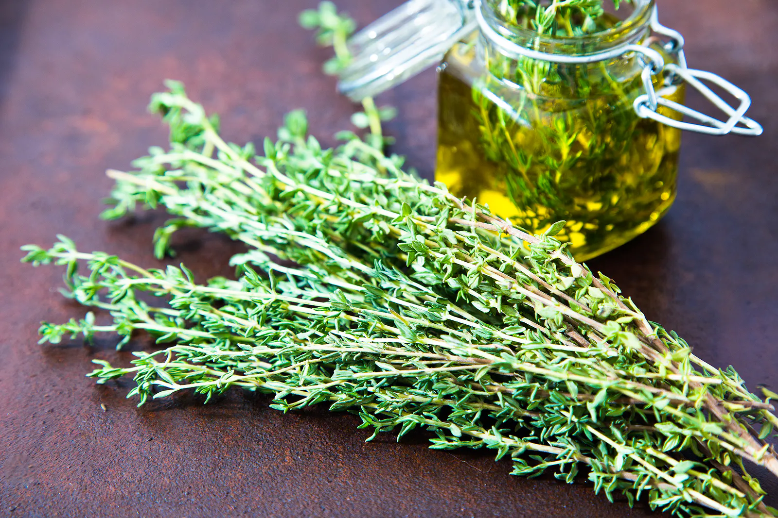 Growing Thyme