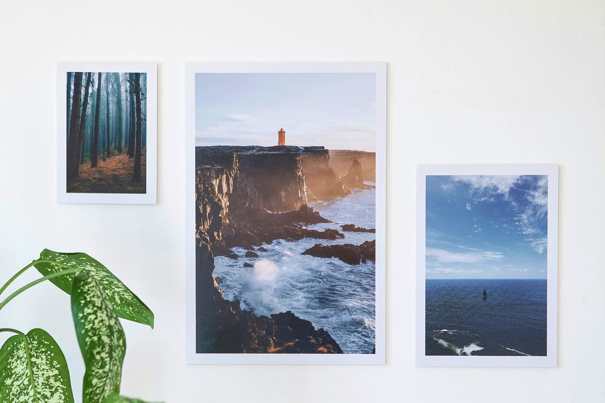 Photo Frame Advice Kristyna-squared-one-7QliyG__8lg-unsplash Copy