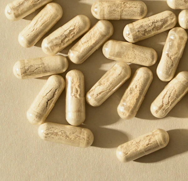 KSM-66 Ashwagandha Plus