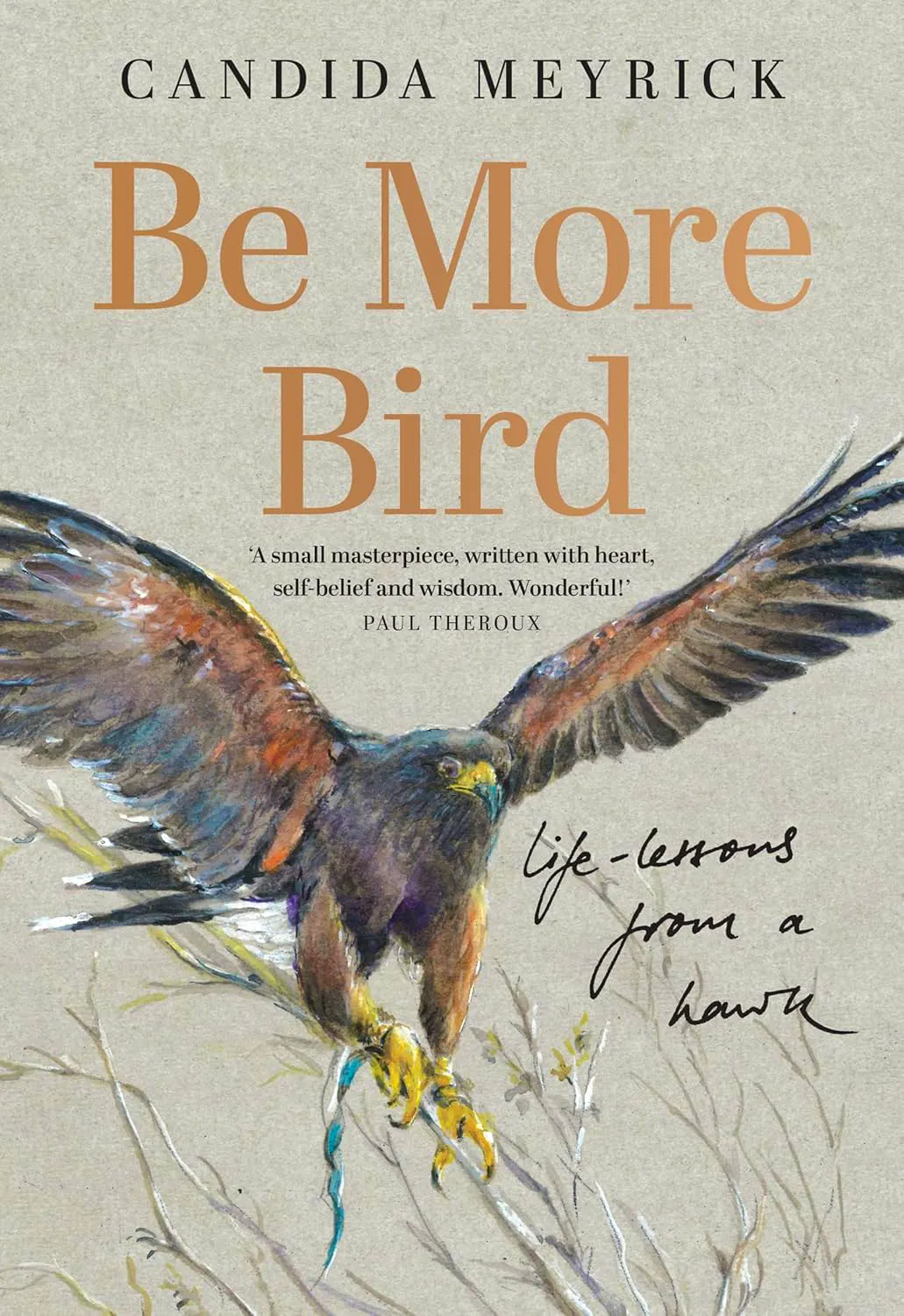 Be More Bird- Life Lessons From A Hawk