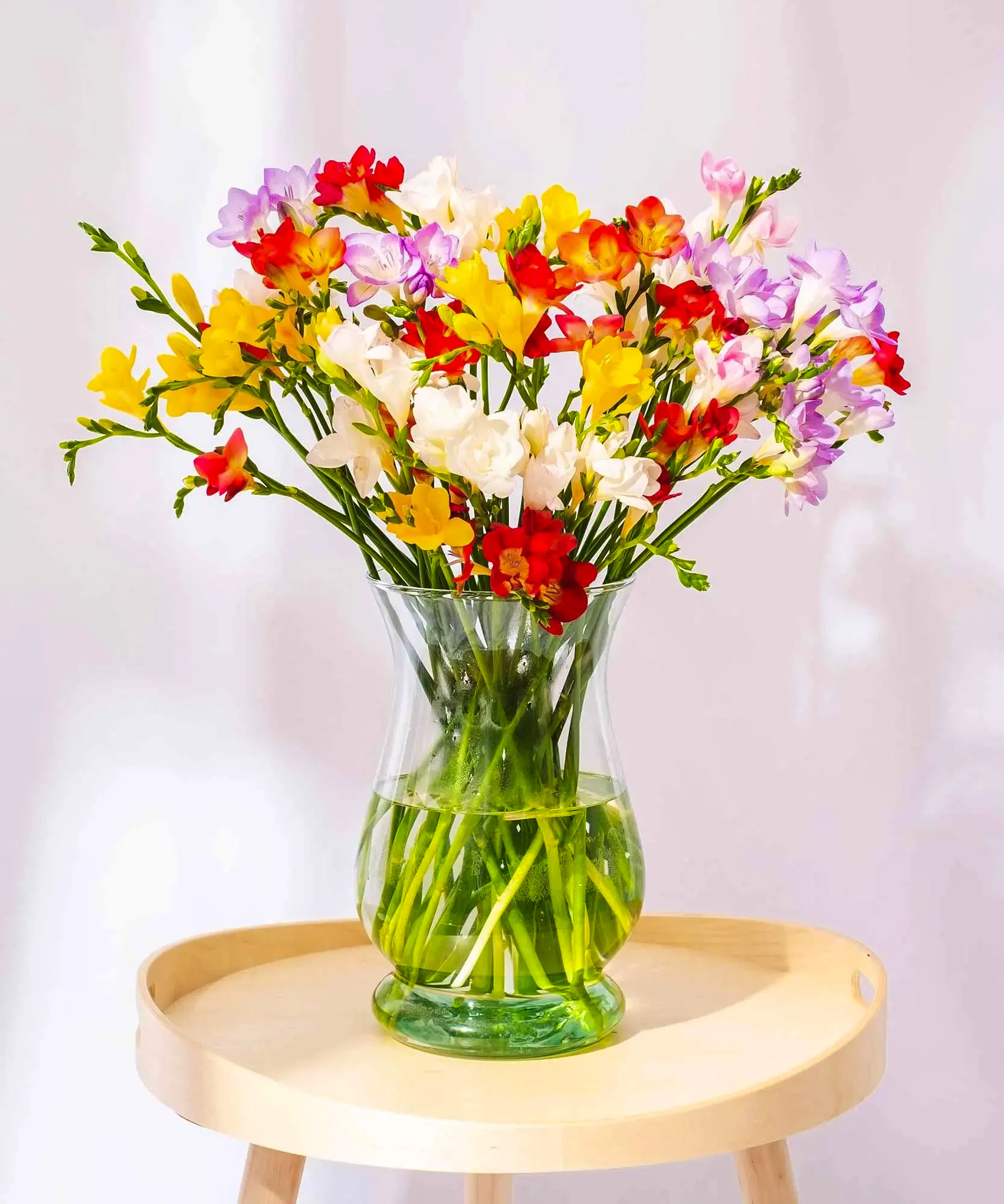 Buying Flowers Online Guernsey Flowers Mixed-Guernsey-Long-Stem-Freesia