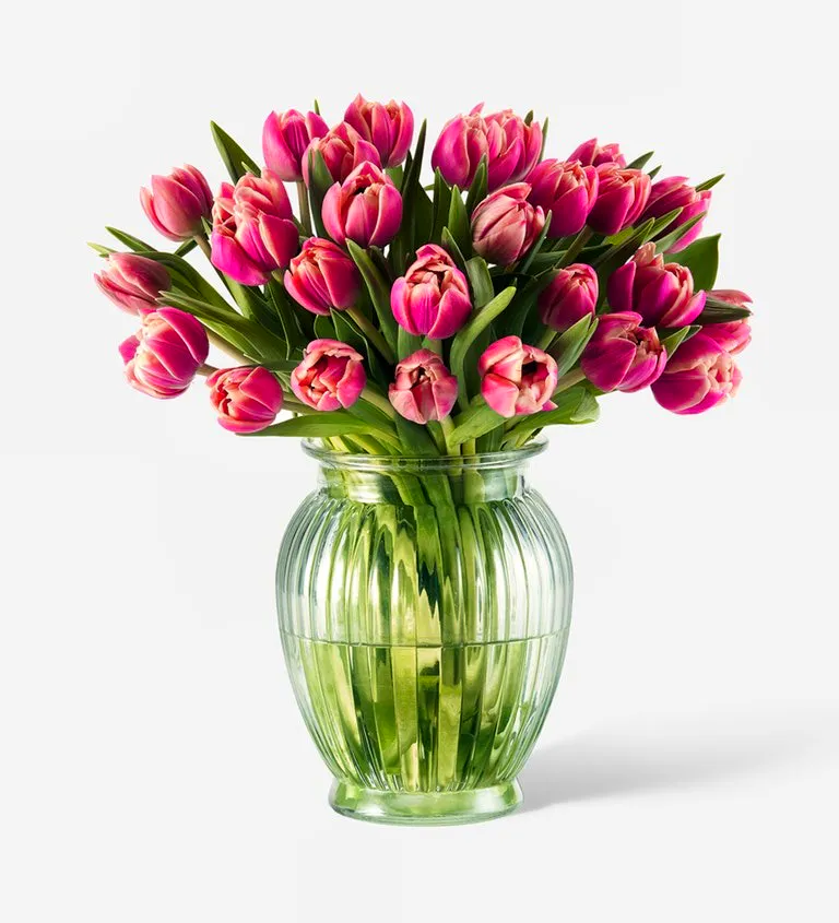 Buying Flowers Online Flowerbx Siren Pink Double Tulip