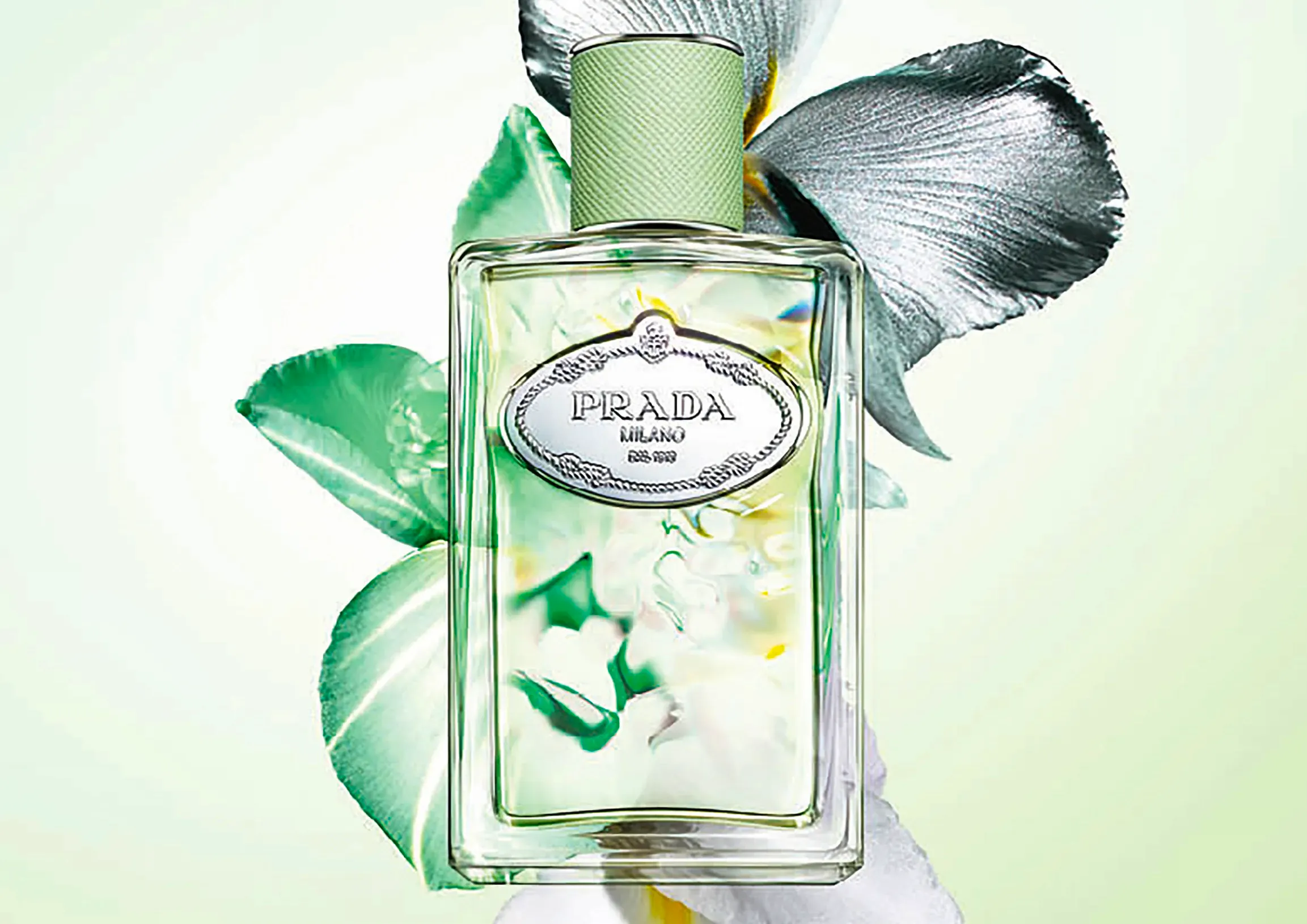 Prada Infusion D