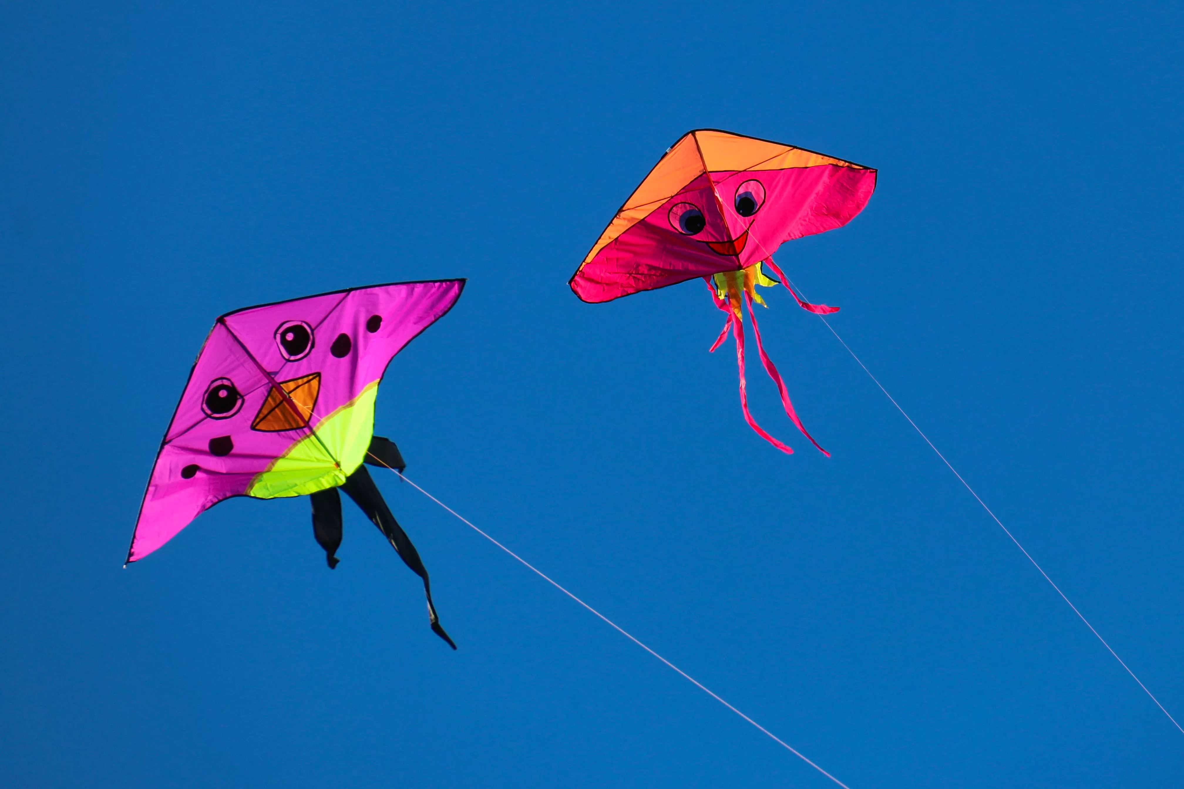 Antigua Kite Flying