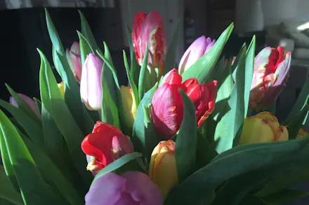 Letterbox Flower Delivery For Mother's Day