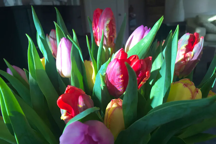 Mothers Day Flowers Annett-keizer-i0jZiyMqyQc-unsplash Copy