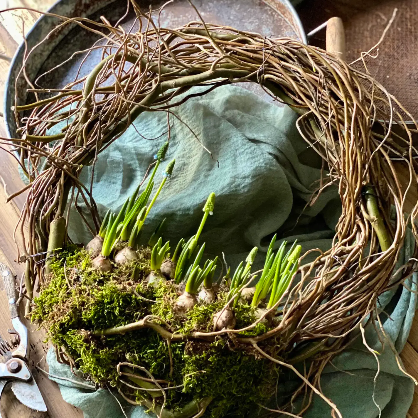 The Florist’s Daughter Spring Willow Door Wreath Muscari Bulb Planter, £42.45