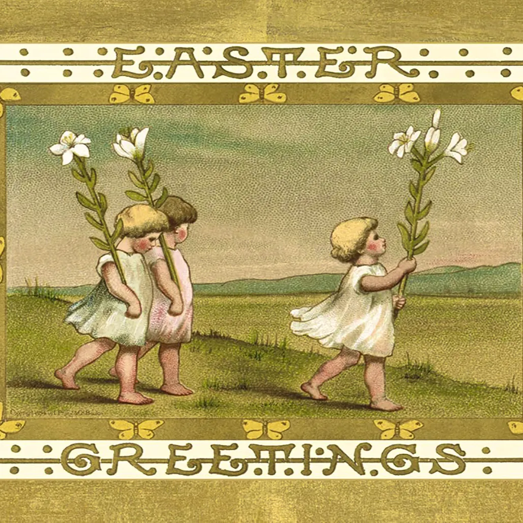 Amazon Caspari 5 Greeting Cards Notelets & Envelopes, £3.29