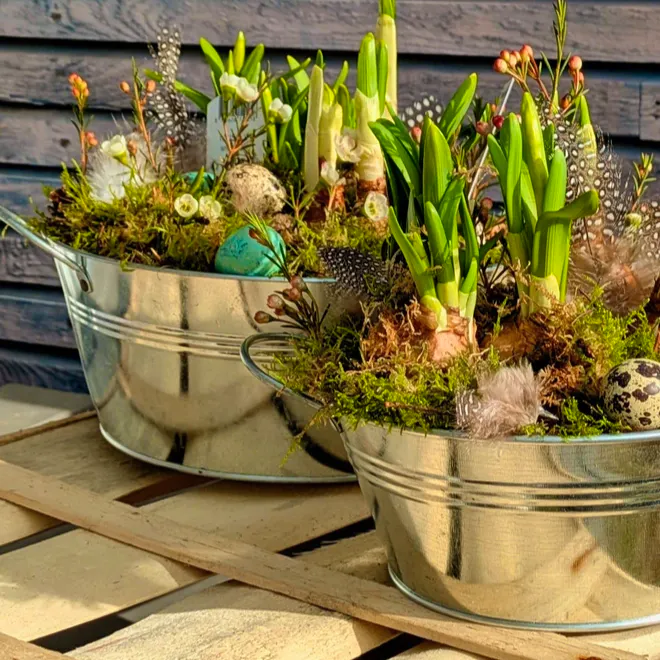 Holly & Co Spring Bulbs Planter With Quail Eggs & White Wax Flowers, £33.90