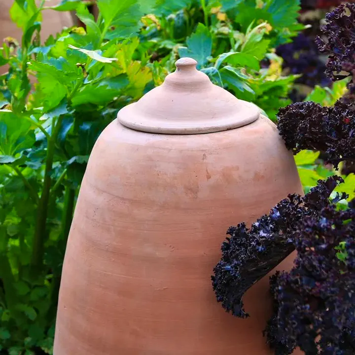 The Old Railway Line Woodlodge 50CM Rhubarb Forcer Pot, £39.99