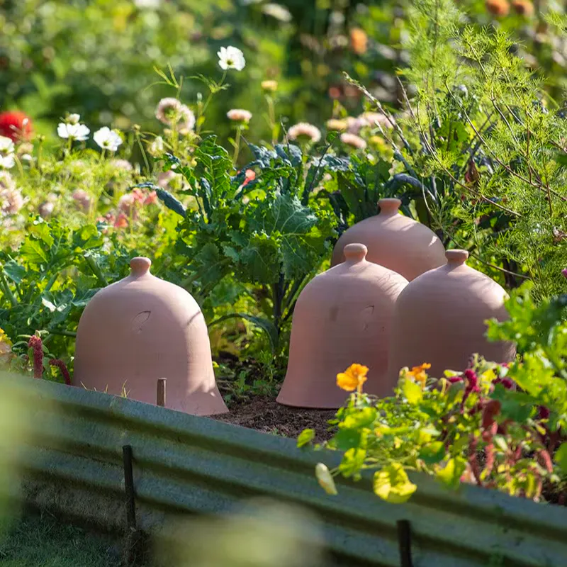 Crocus Terracotta Bell Cloche, £59.99