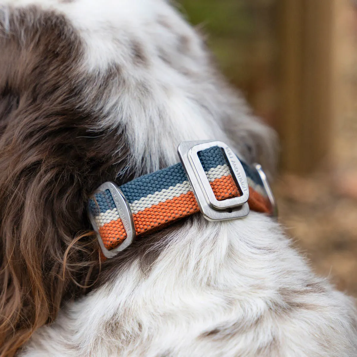 All-Terrain Collar