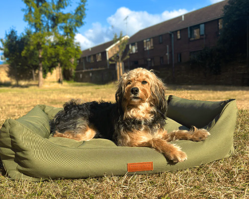 Waterproof & Memory Foam Dog Bed With Removable Covers