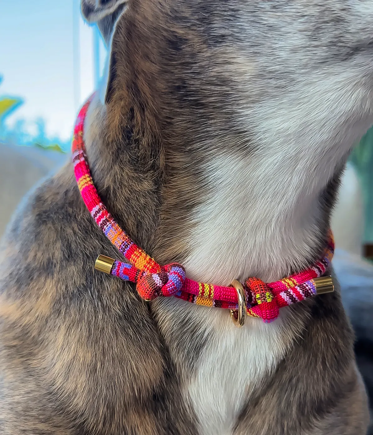 Houndd Co Collar