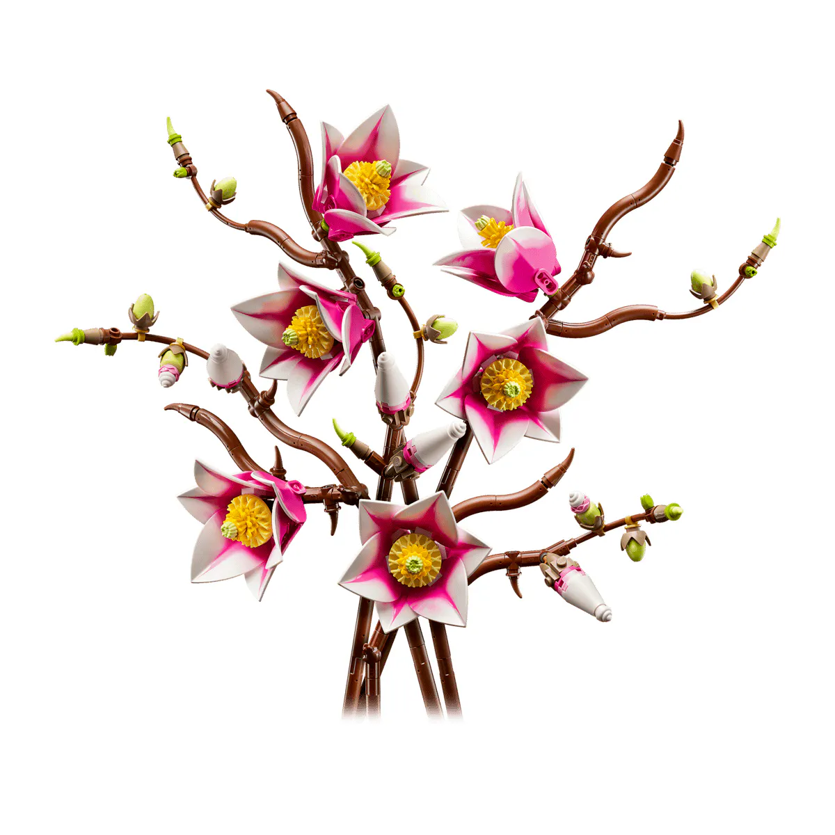 Magnolia Branches £44.99