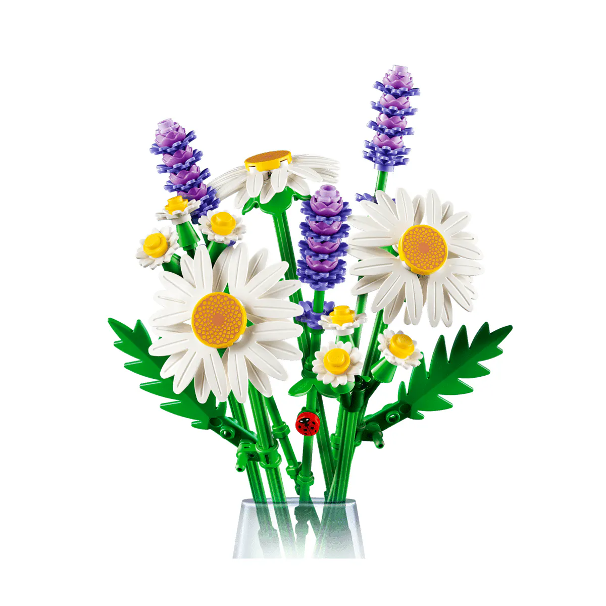 Daisies £12.99