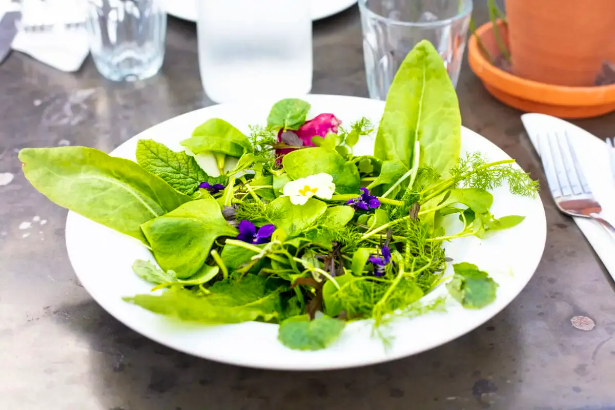 Worton-kitchen-15th-march-24_15