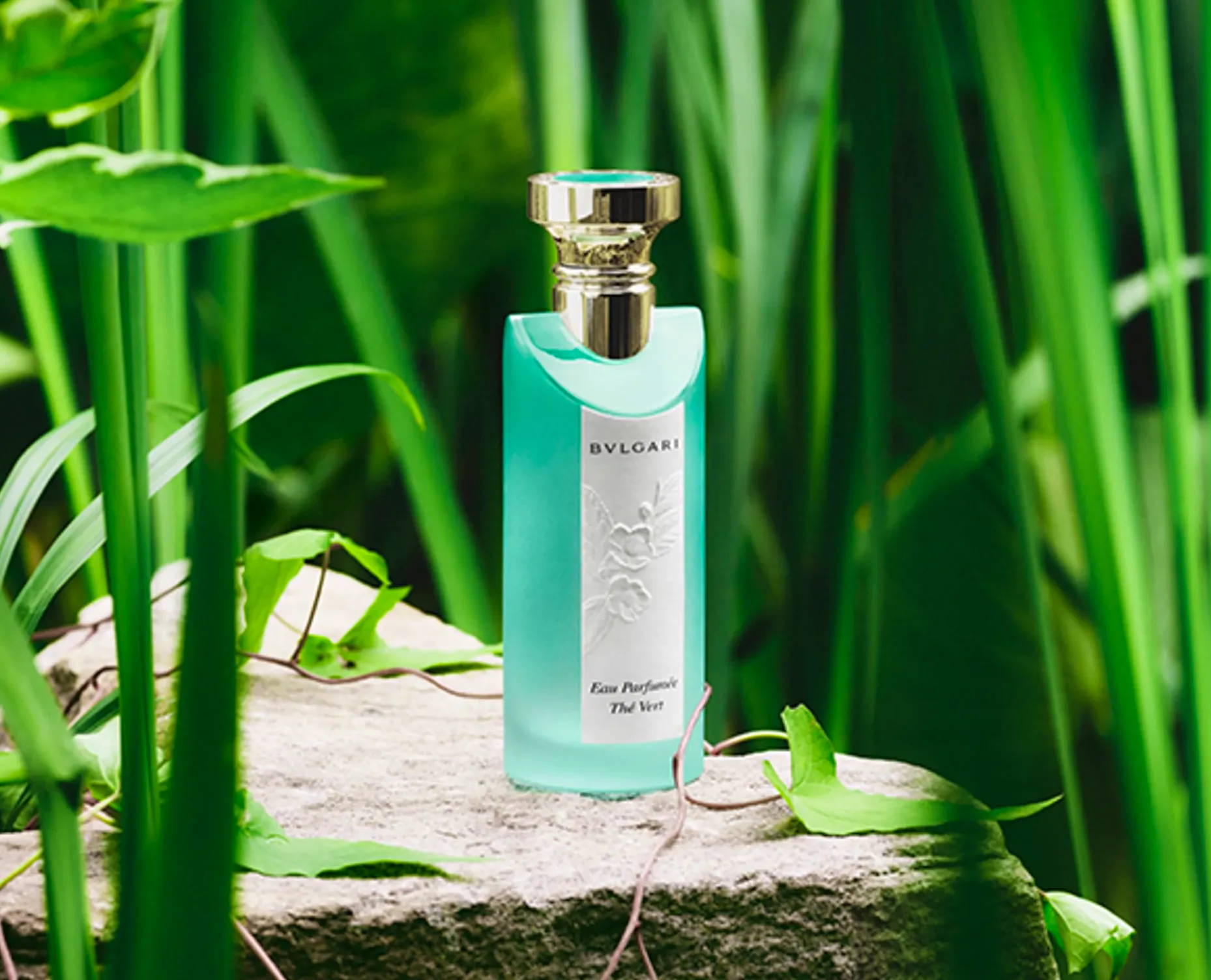 The Vert - Bulgari