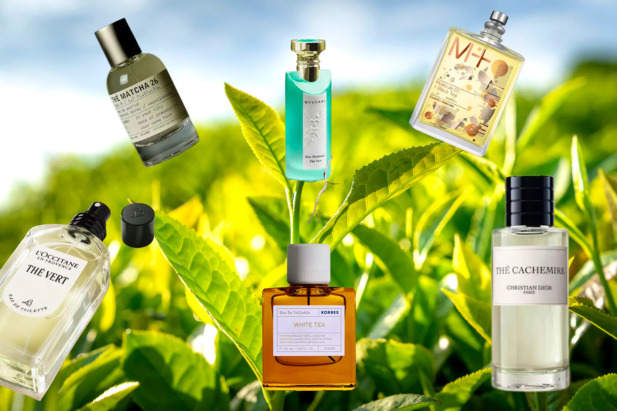 Tea Infused Fragrances