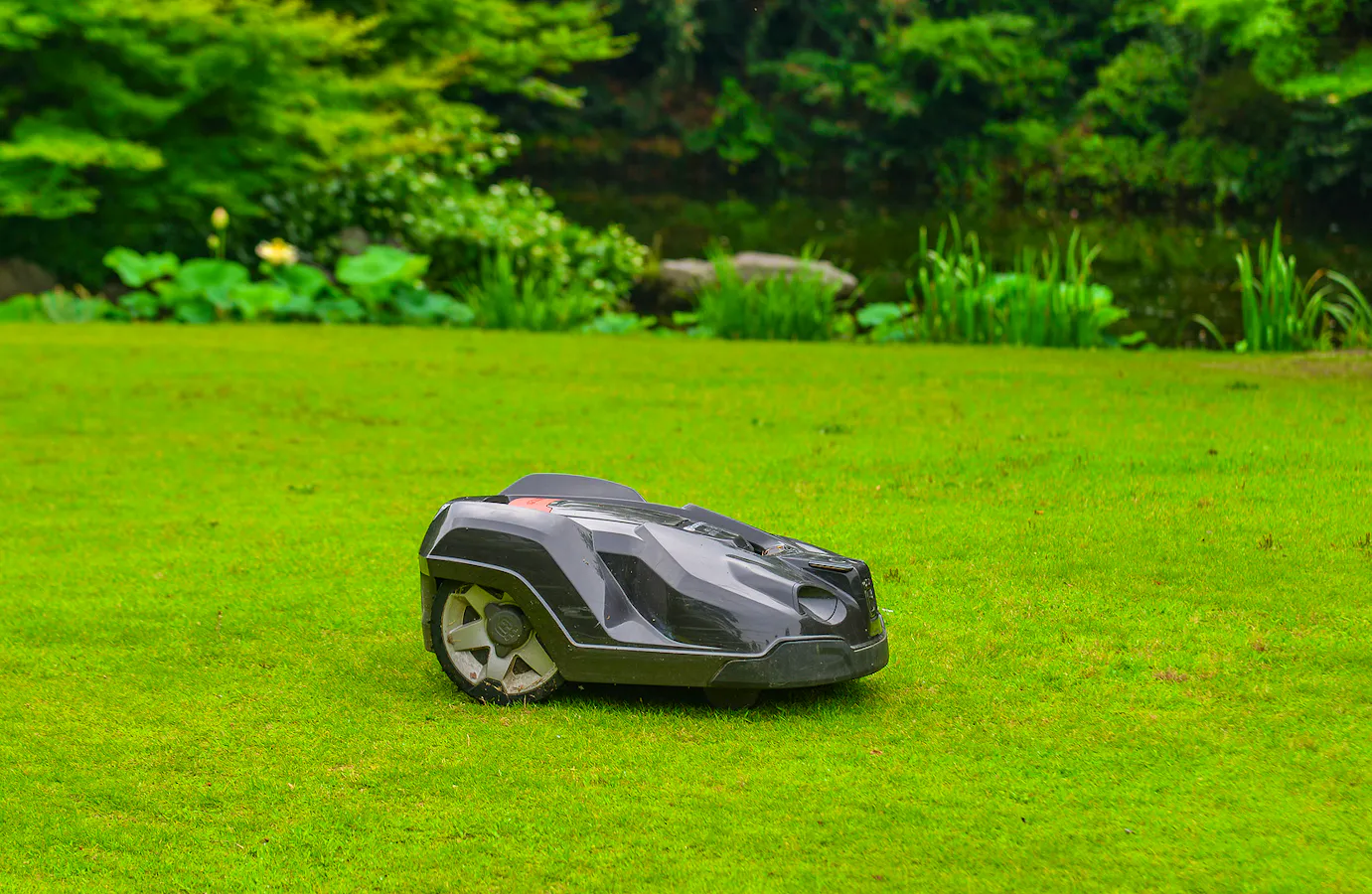 Smart Tech For Your Garden