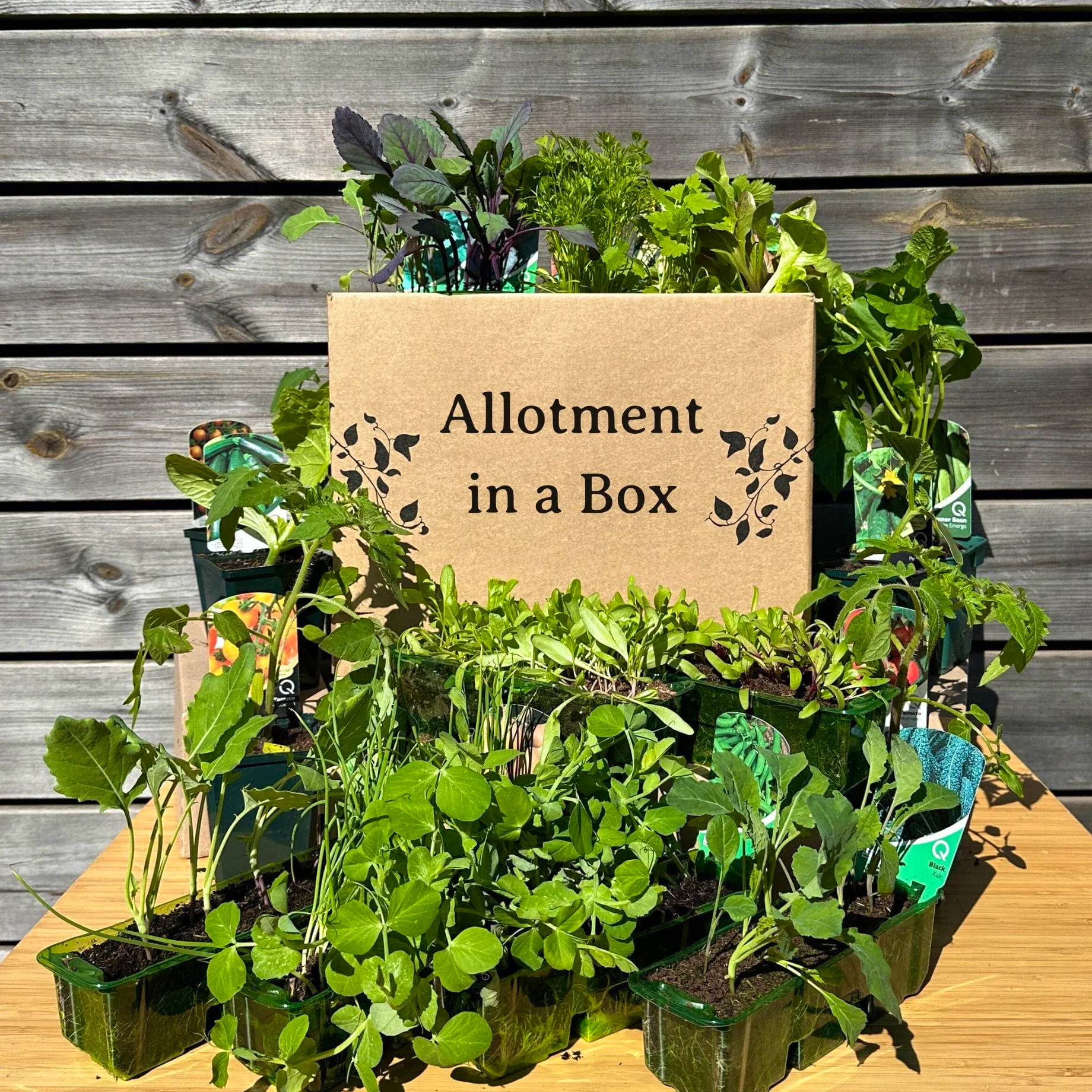 Windowsill Gardening Roots Allotment In A Box