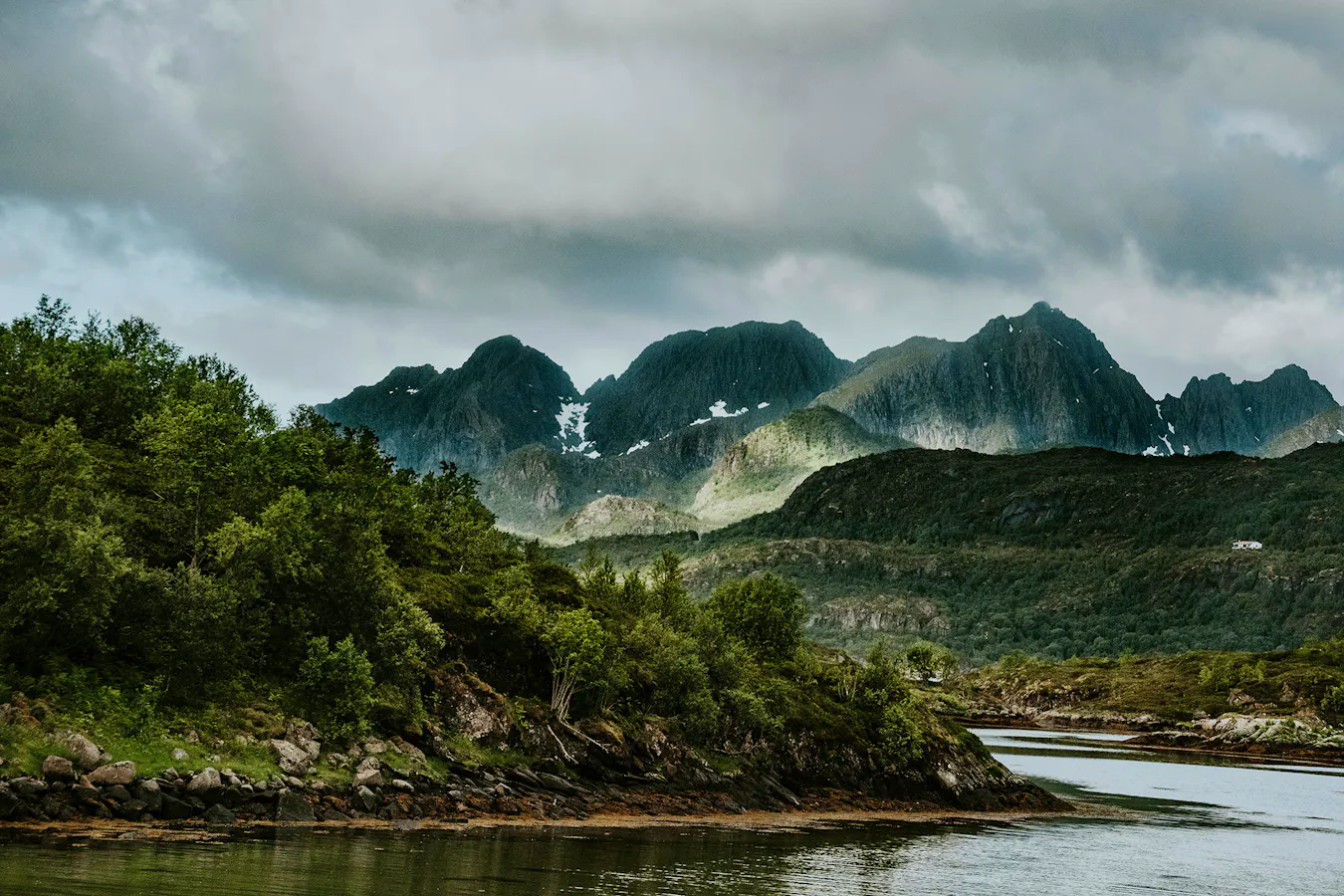 Nordic Foraging Sandra-seitamaa-2qghd-kJwqU-unsplash Copy