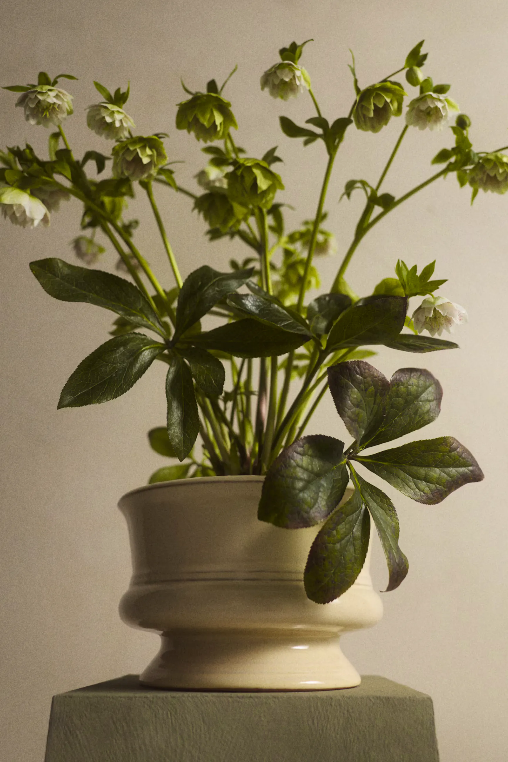 H&M Home Wide Reactive Glaze Terracotta Plant Pot, £24.99