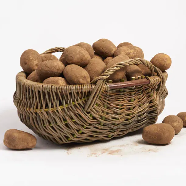 Studio Amos Ulster Potato Basket, £620