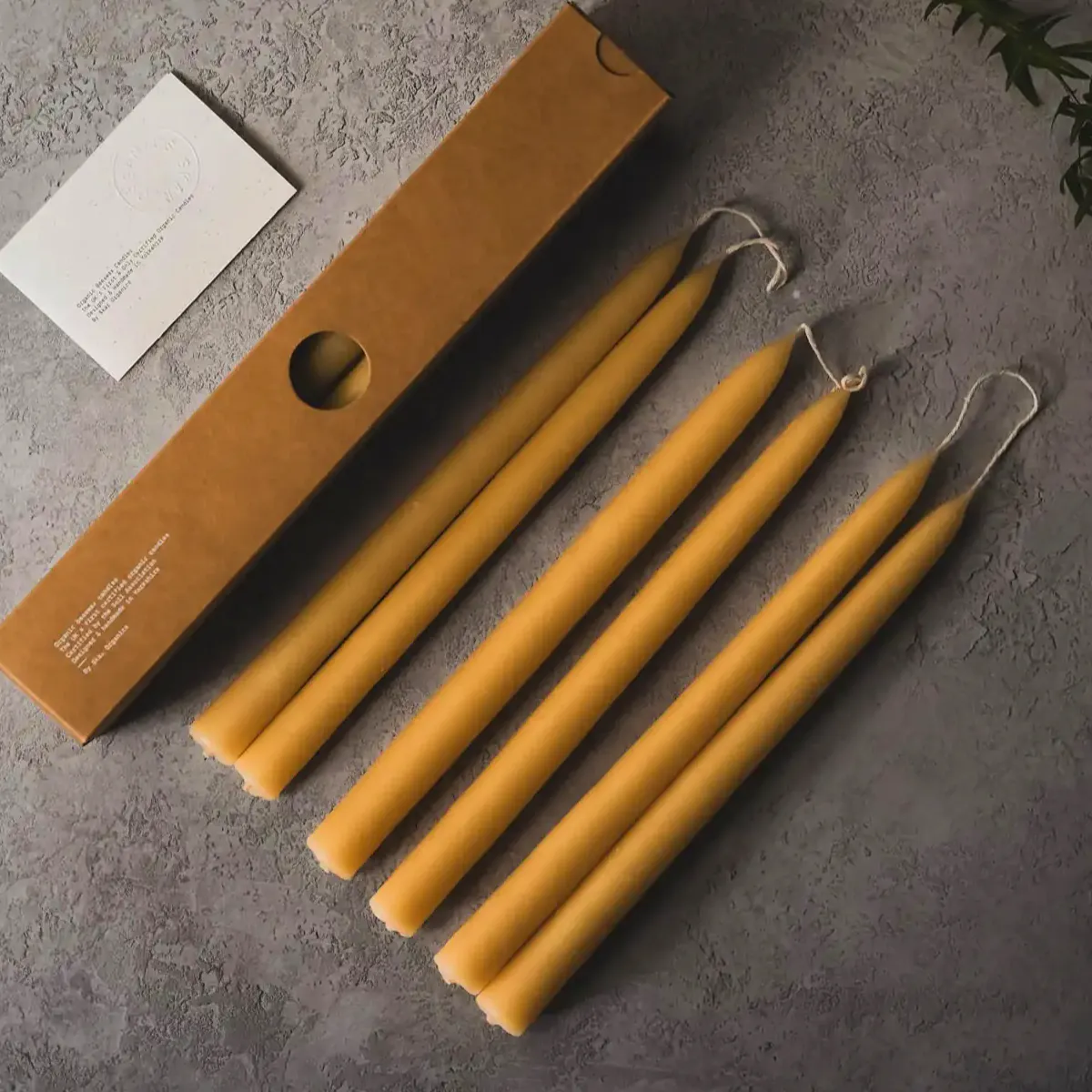 Skar Organics Organic Beeswax Dinner / Taper Candle [Box], £40