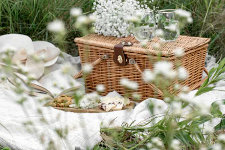 5 Eggcellent Picnic Ideas For Sunny Days