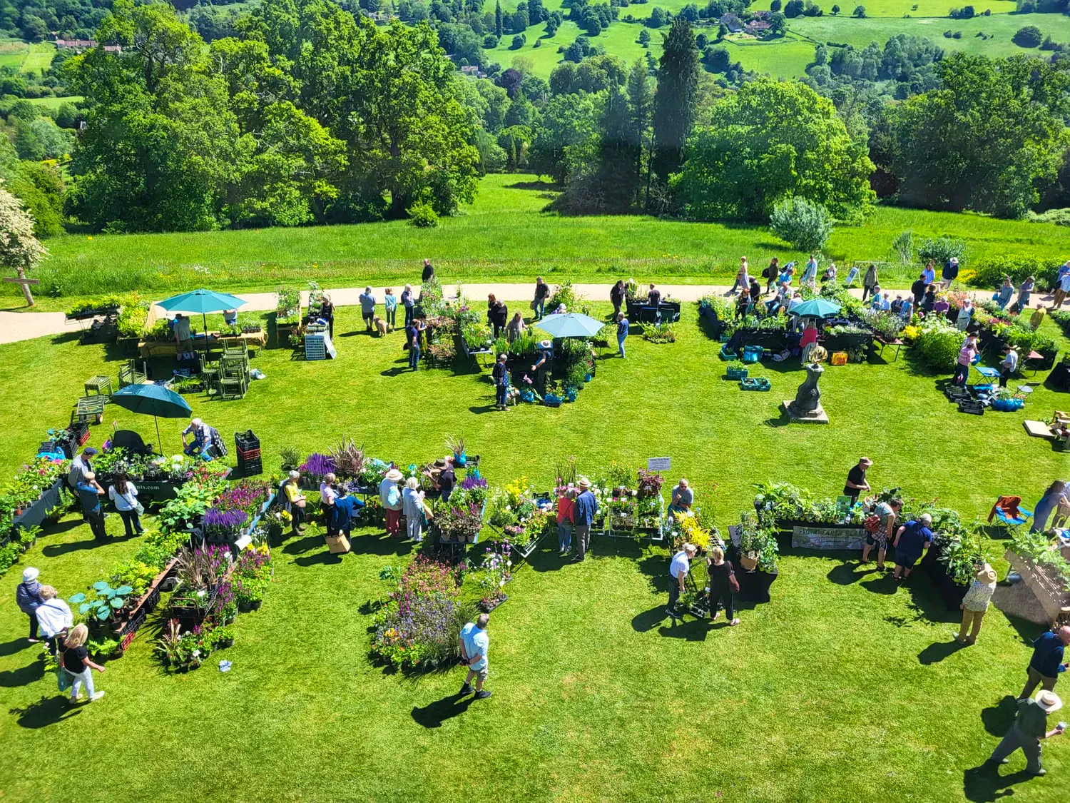 RARE PLANT SALE AM&G+Rare+Plant+Fair+3