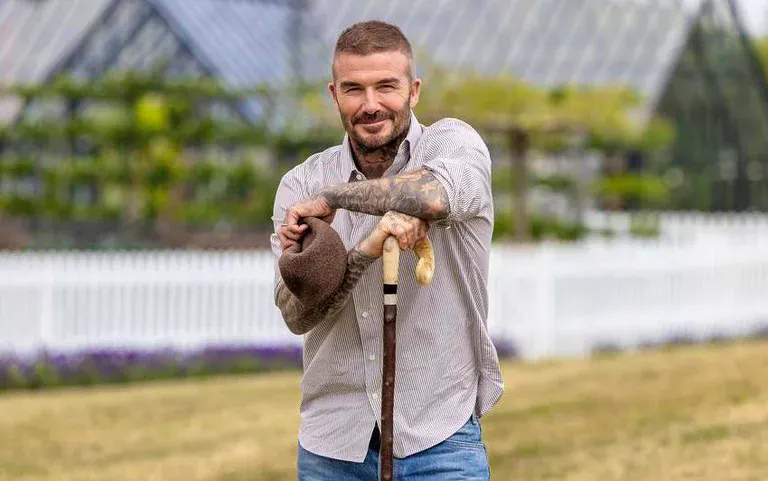 BECKHAM ROSE