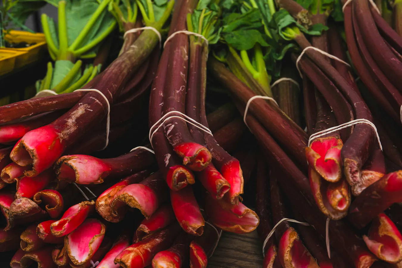 May Table: Six Seasonal Recipes To Cook Now
