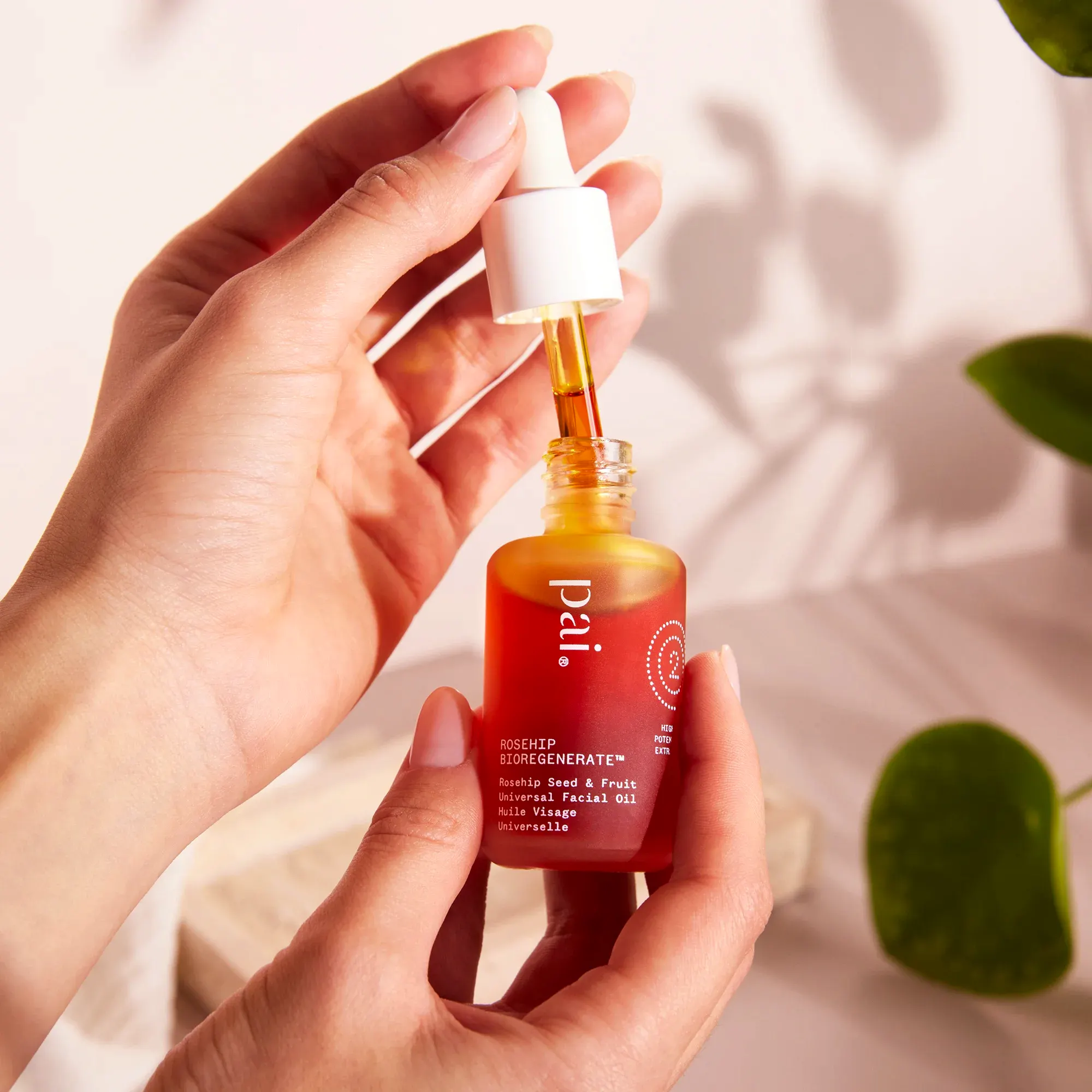 Pai Skincare Rosehip Bioregenerate™ Rejuvenating Overnight Face Oil 30ml