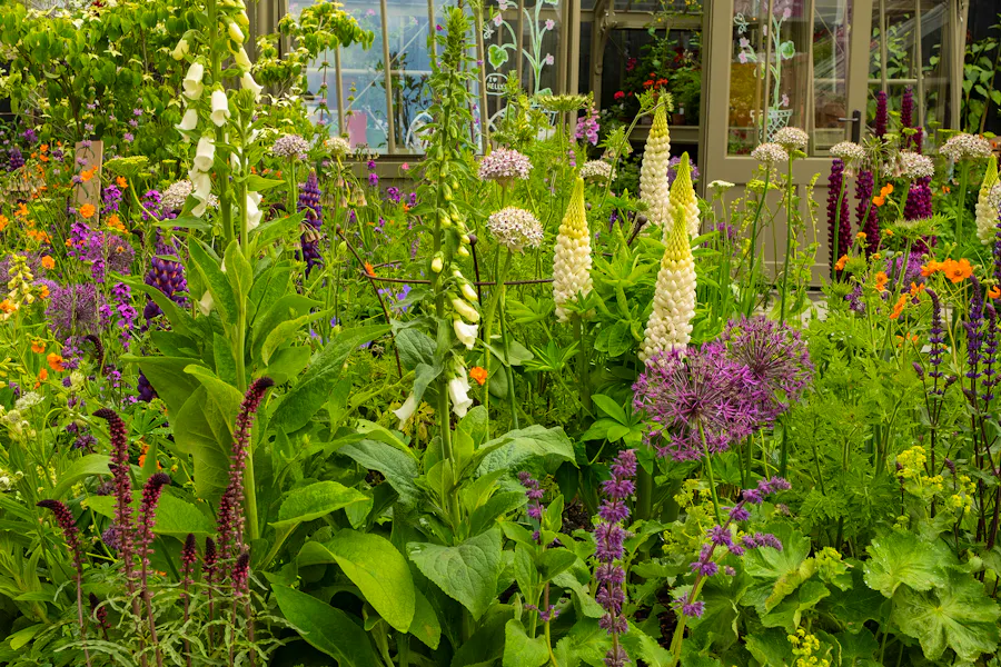 Chelsea Flower Show Image From Alamy