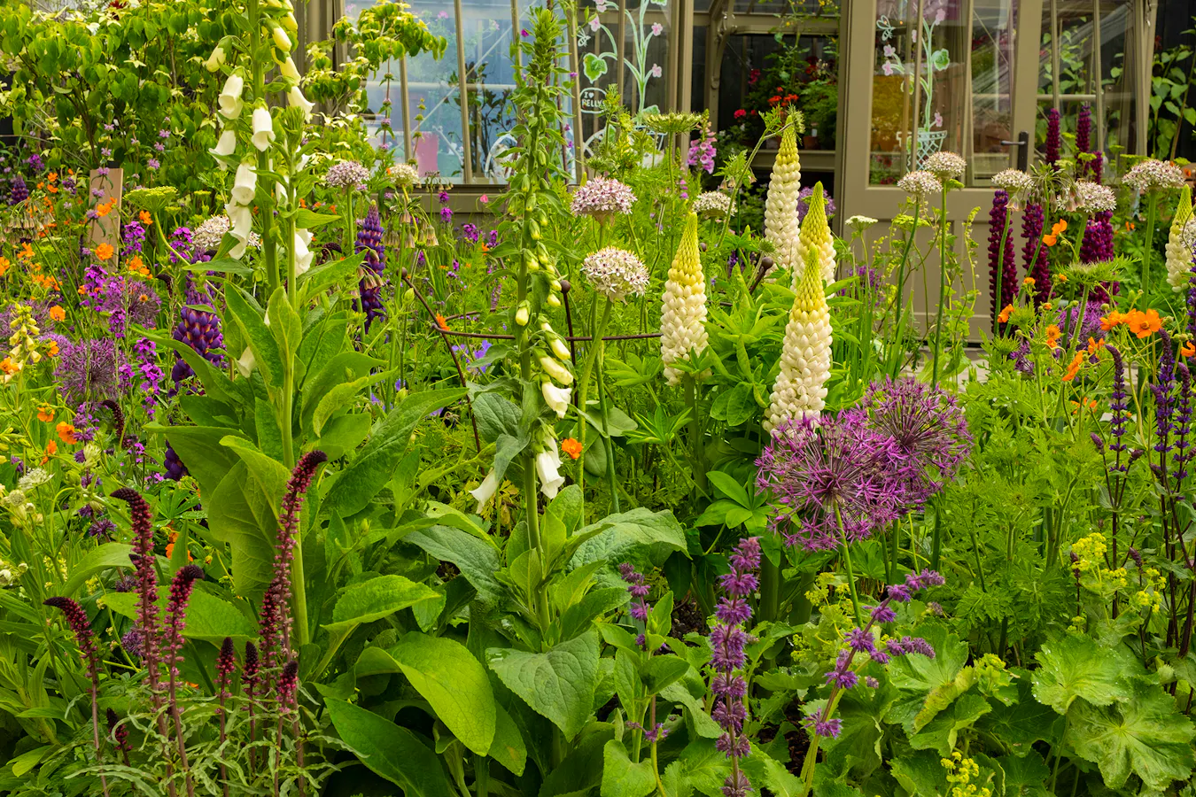 Chelsea Flower Show Image From Alamy