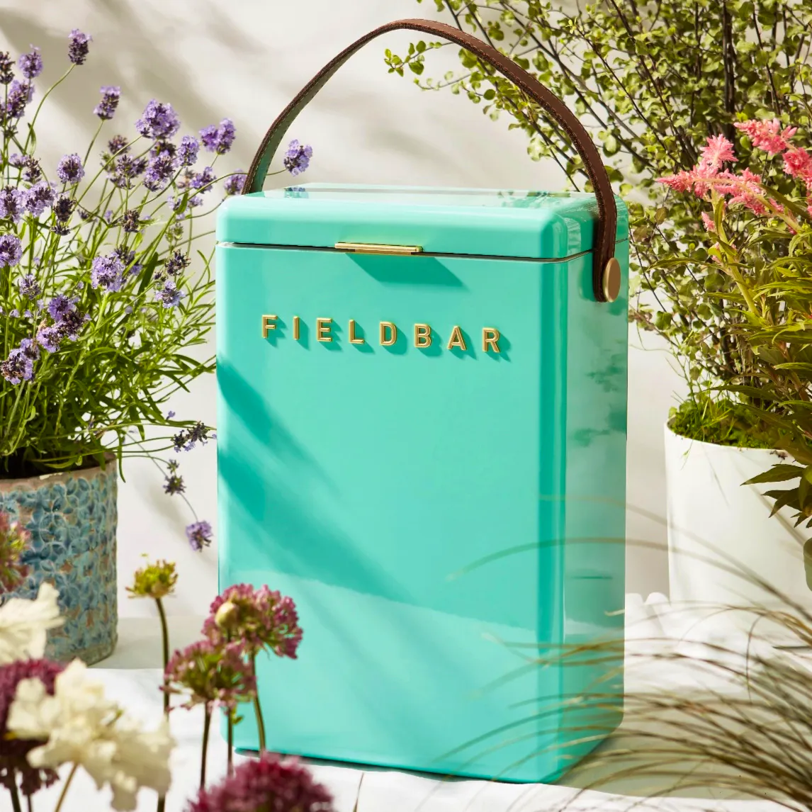 Fieldbar X Fortnums Drinks Box, Eau De Nil, £179