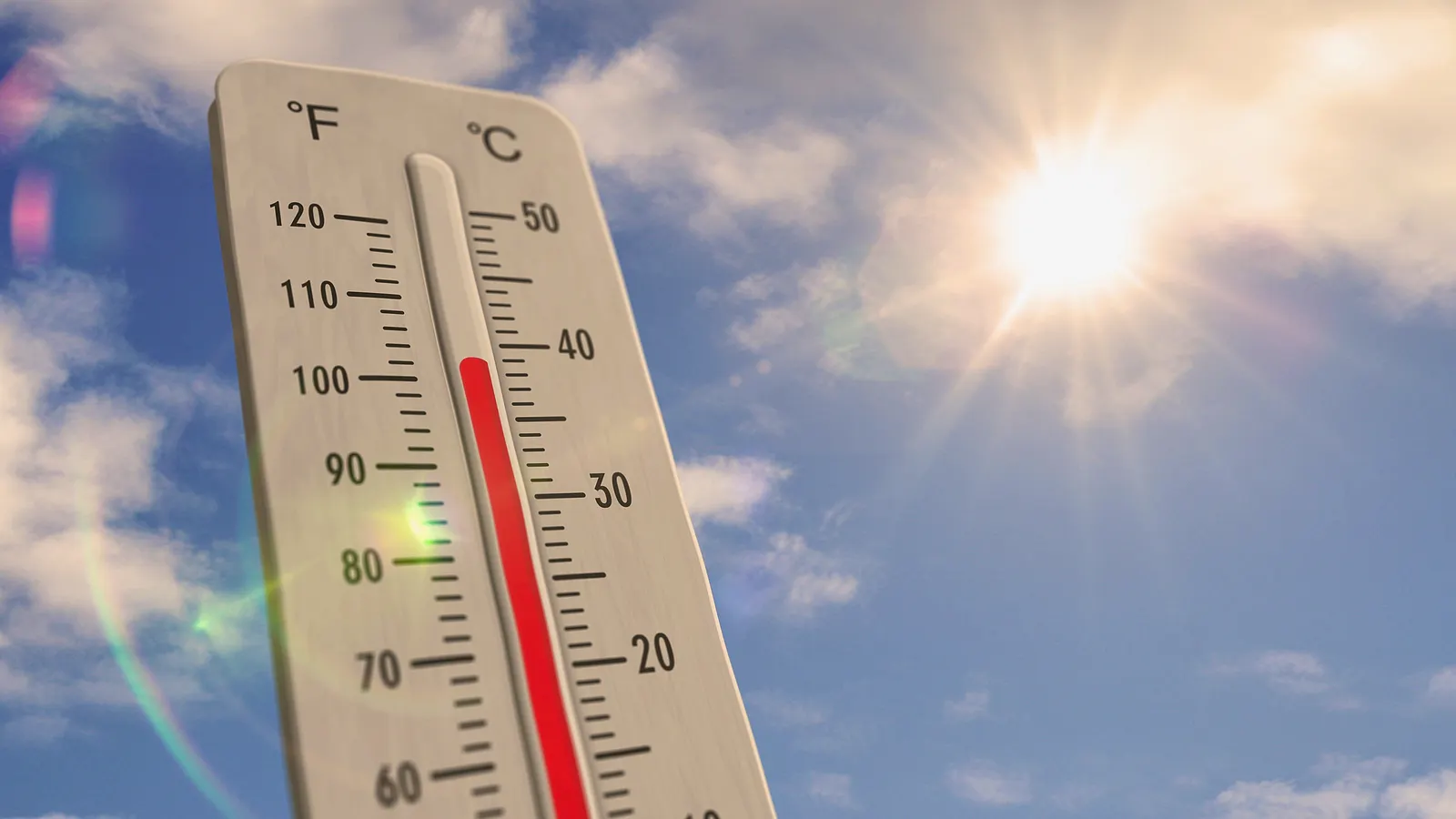 How To Handle The Great British Heatwave