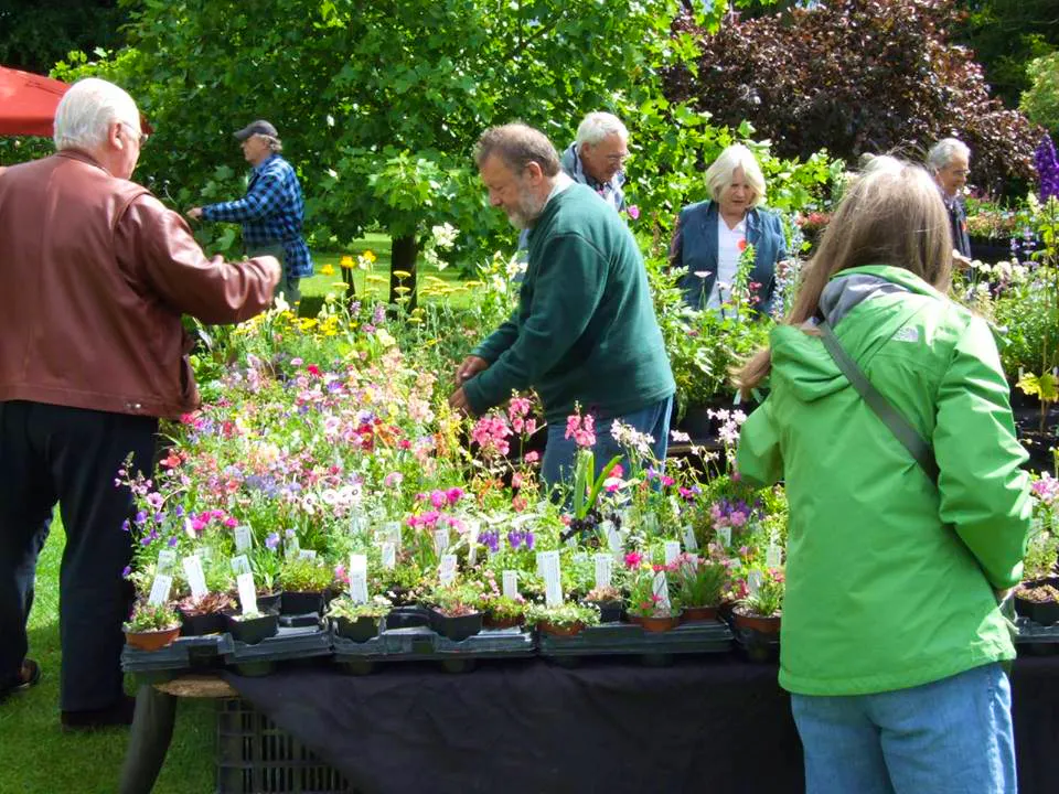 Rare Plant Fair