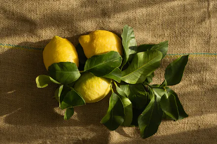 When Life Gives You Lemons: 7 Lovely Citrusy Recipes For Summer