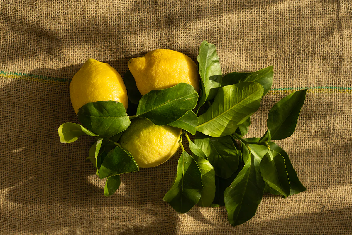 Lemon Recipes Monika-grabkowska-qc6yB1Il-zM-unsplash Copy